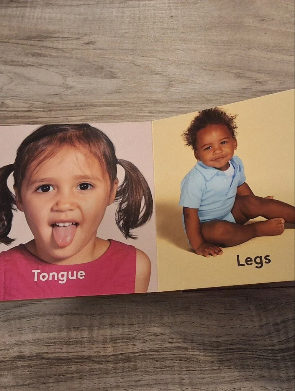 Lovevery Parts of Me Book From The Senser Play Kit Months 5-6